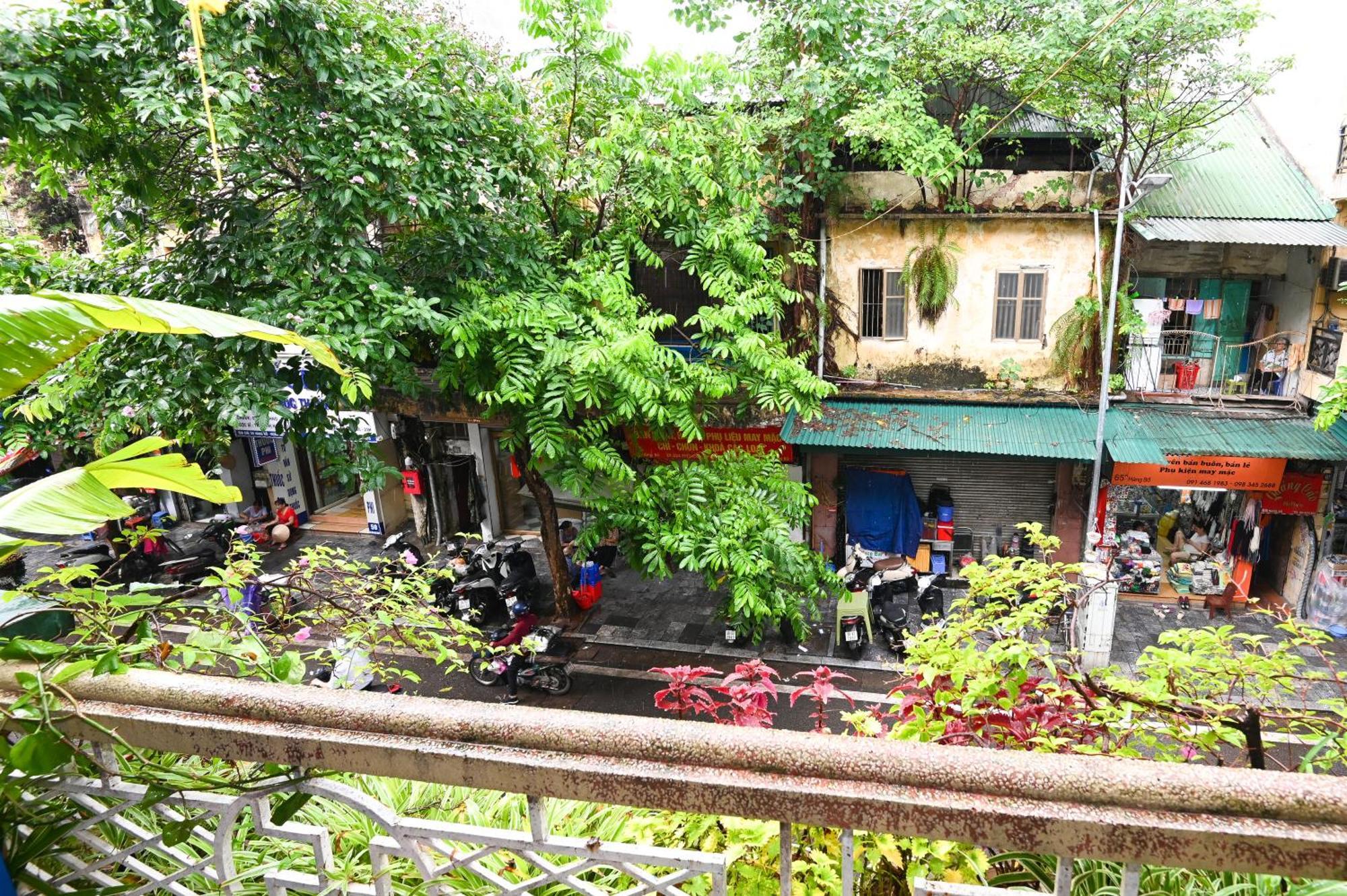 Homestay Sunny *